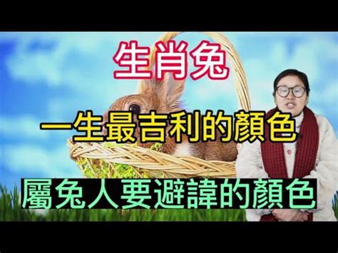 兔幸運色|屬兔的幸運顏色是什麼？詳盡解析兔年運勢與顏色的關聯